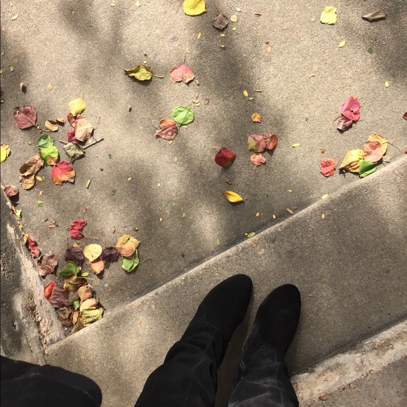 Meet your Posher, Yvonne - Picture 2 of 2